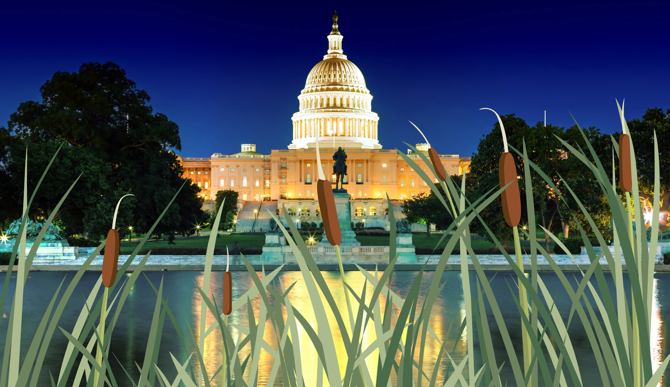 DC statehood efforts pursue power, not constitutional democracy