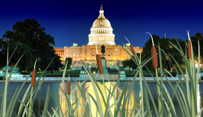 DC statehood requires a constitutional amendment, and I’ll put that on my yard sign