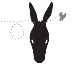 Blame Americans First