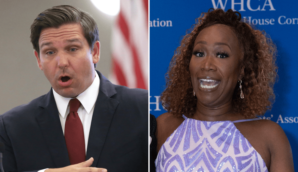 ‘Turned down’: DeSantis team slams Joy Reid after she targets governor