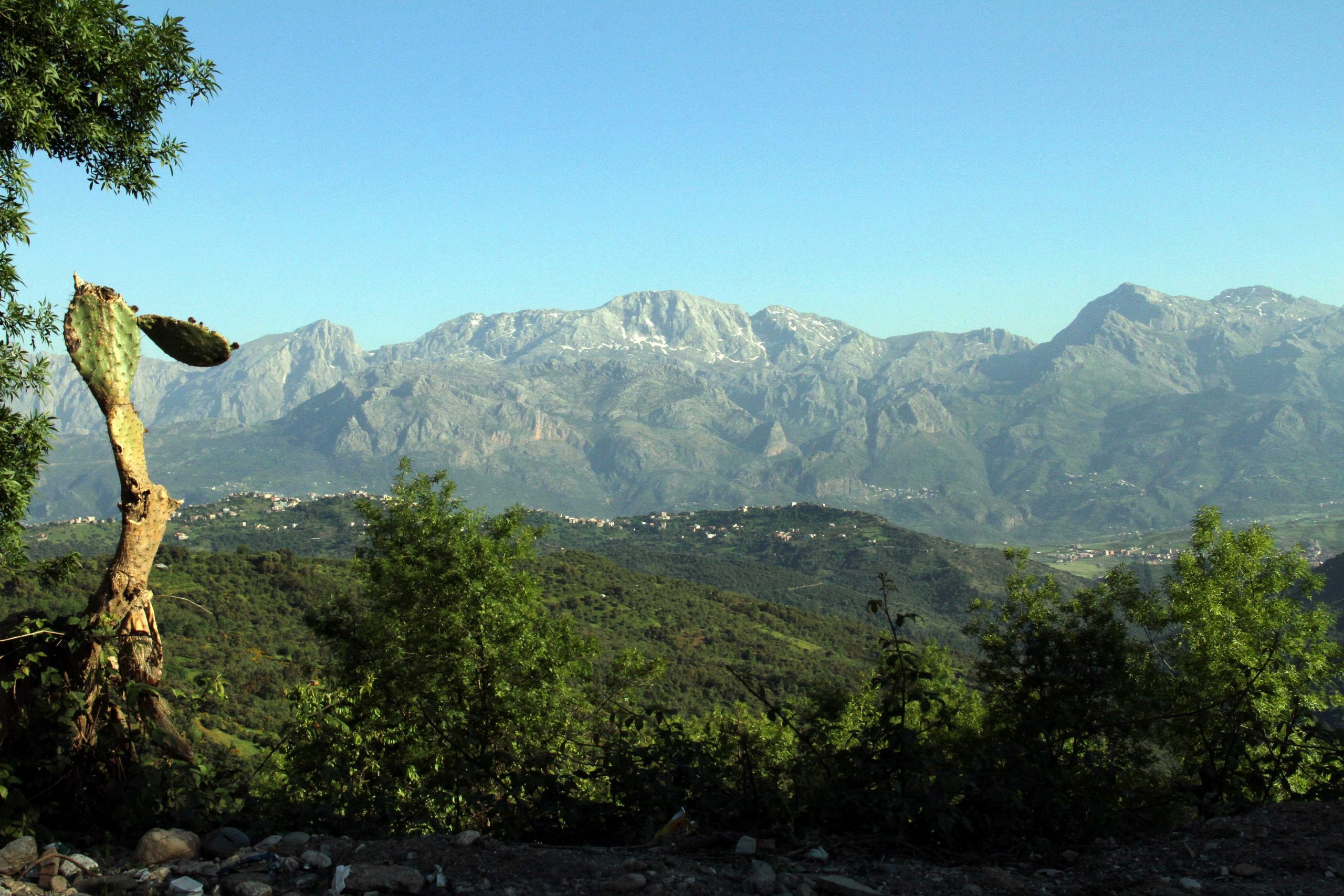 Algerian troops search for kidnapped Frenchman