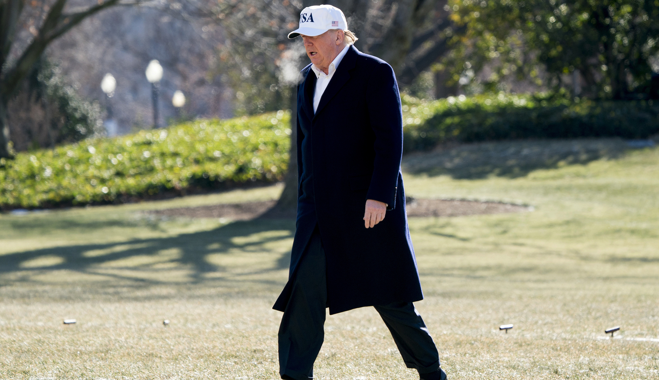 The Trump White House in review: Week 50