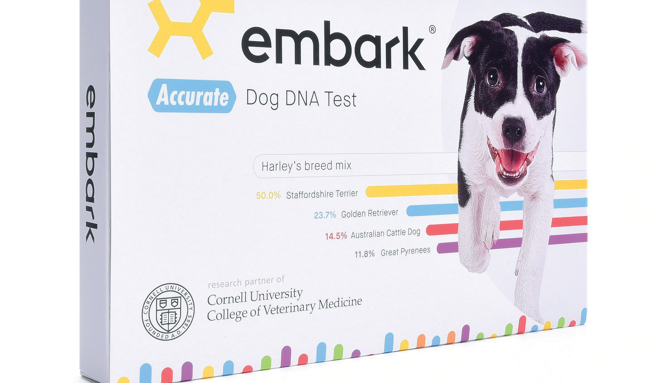 Digging up your dog’s bones