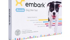 Digging up your dog’s bones