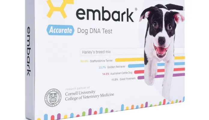 Digging up your dog’s bones