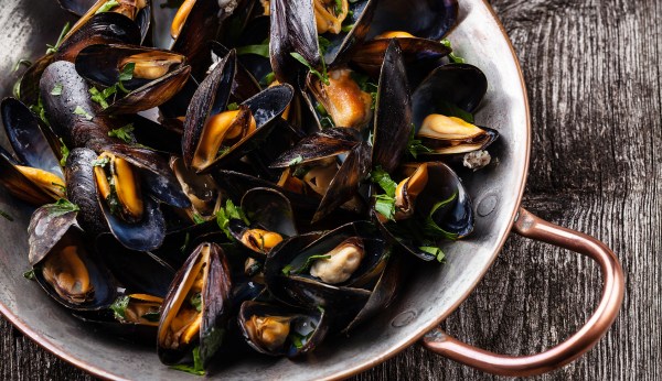 How to make miserable Washington mussels majestic