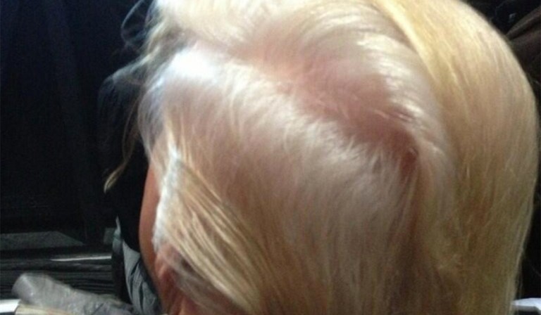 Weird Week in (Internet) Politics: Austin’s Model for Dumb Government, Hillary’s Diagram, Trump’s Hair is Real