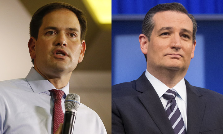 Immigration hawks: Cruz should attack Rubio harder