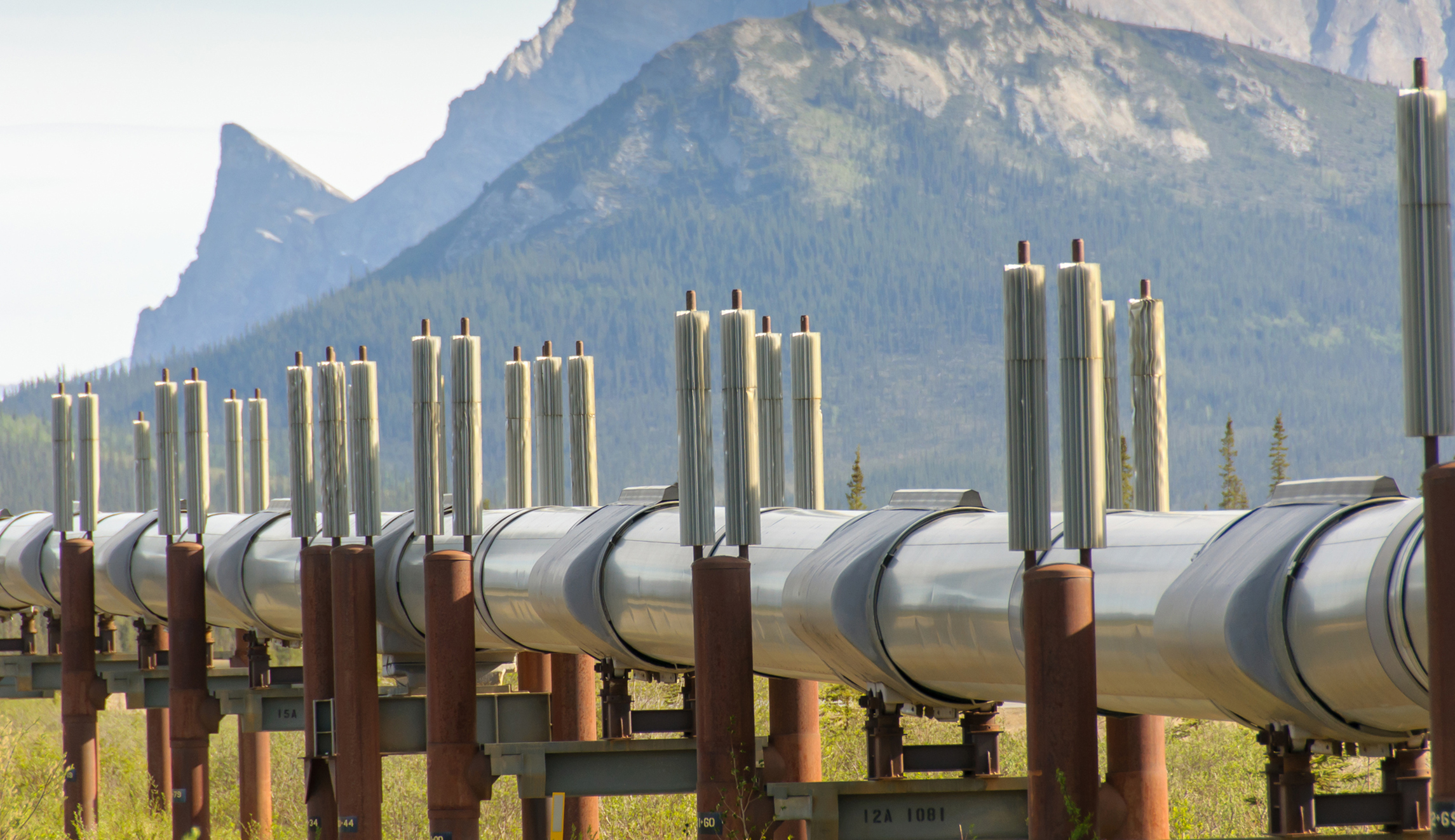 House budget vote sets up oil, gas drilling in Arctic National Wildlife Refuge