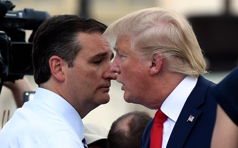 Ted Cruz tweeted his appreciation of a statement put out by the Trump campaign regarding control of the Internet. (AP Photo/Susan Walsh)