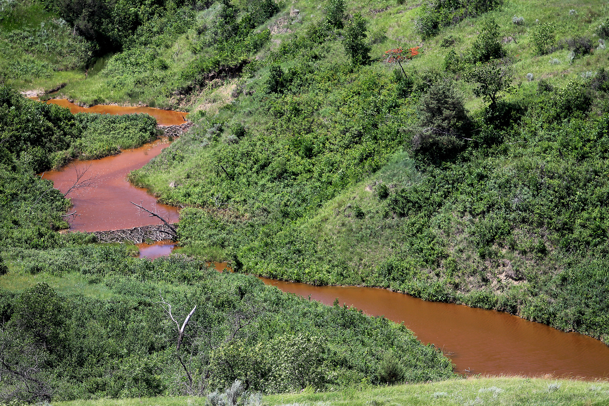 Officials: No evidence brine in bay after ND spill