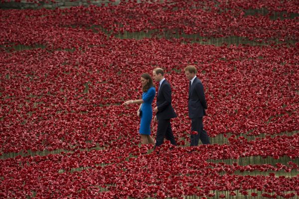 Red ceramic poppies spill from Tower of London