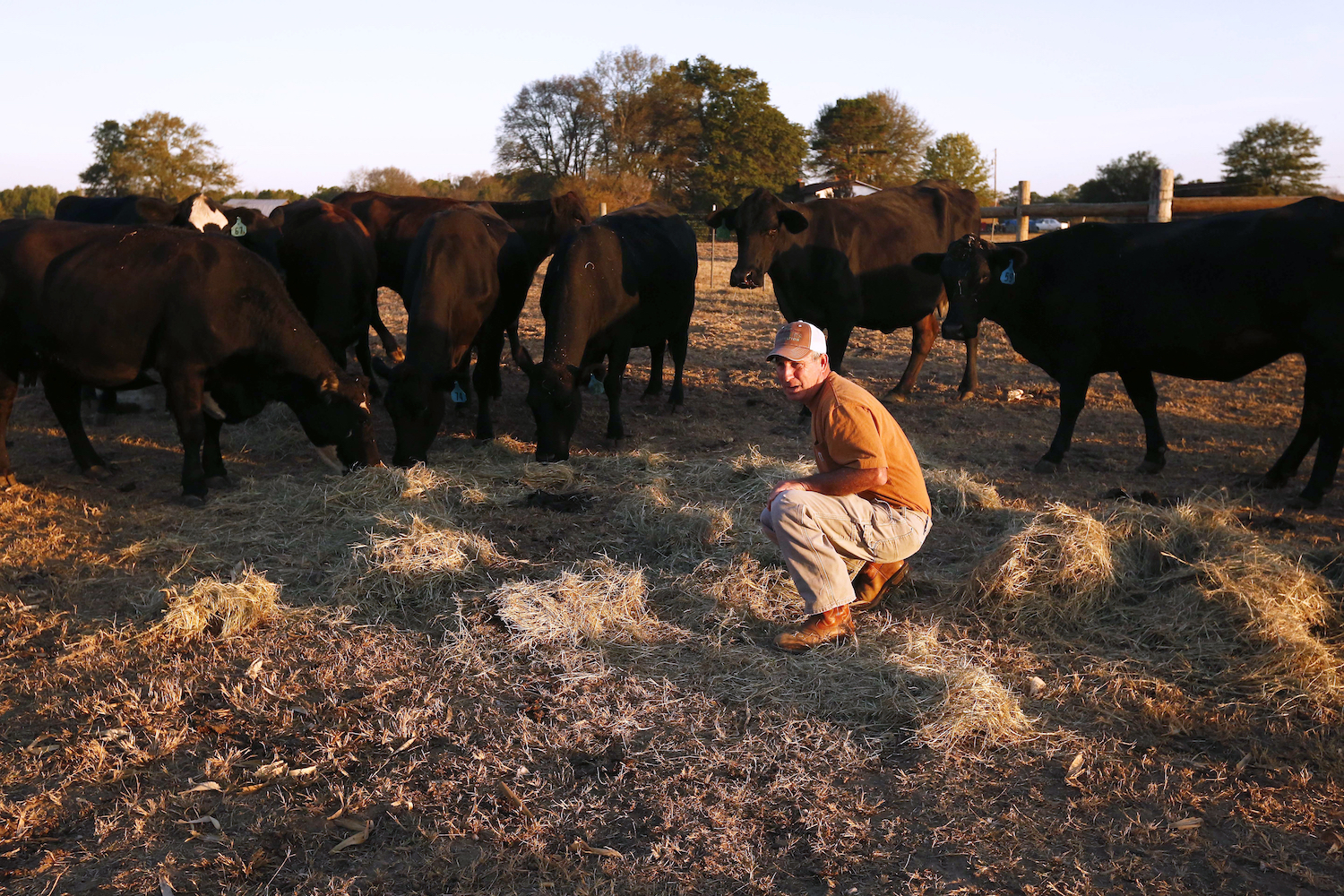 Beef Magazine blasts Obama’s crony regulations