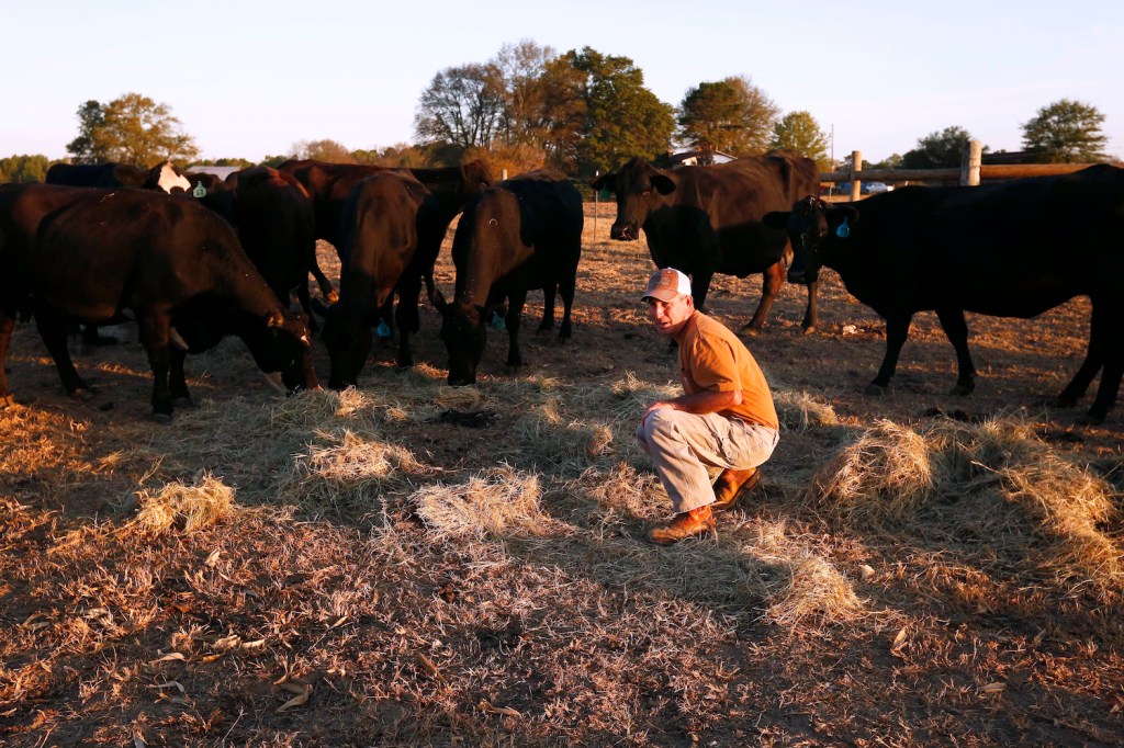 Beef Magazine blasts Obama’s crony regulations