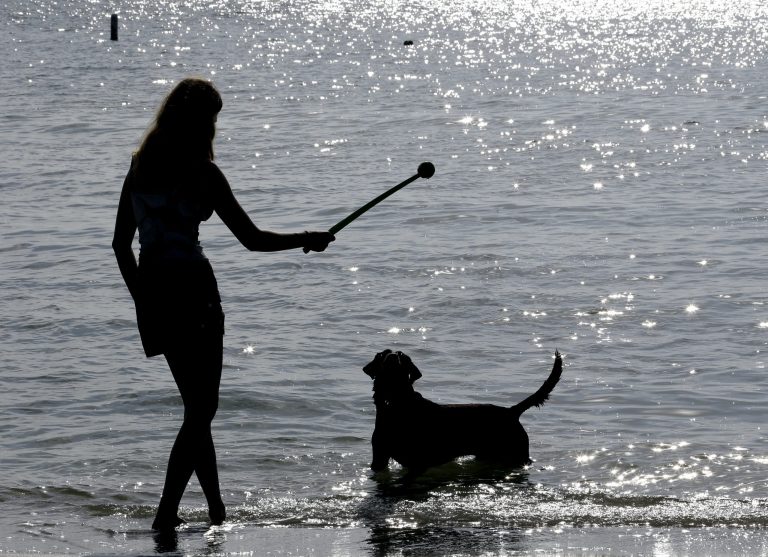   In this Tuesday, Dec. 18, 2012 photo, Sarah Ranes, of Safety Harbor, prepares to throw a tennis ball to her dog 