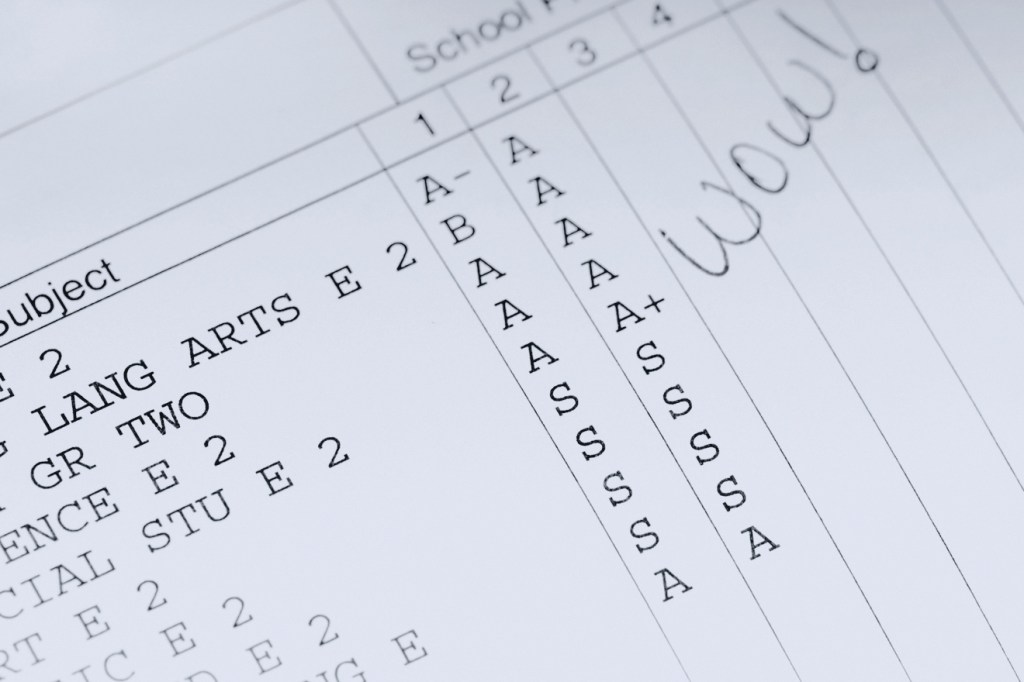 The Suicide of Meritocracy