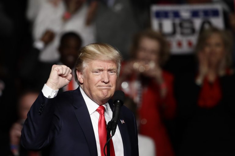 President-elect Donald Trump during a rally at the Giant Center, Thursday, Dec. 15, 2016, in Hershey, Pa. (AP Photo/Matt Rourke)