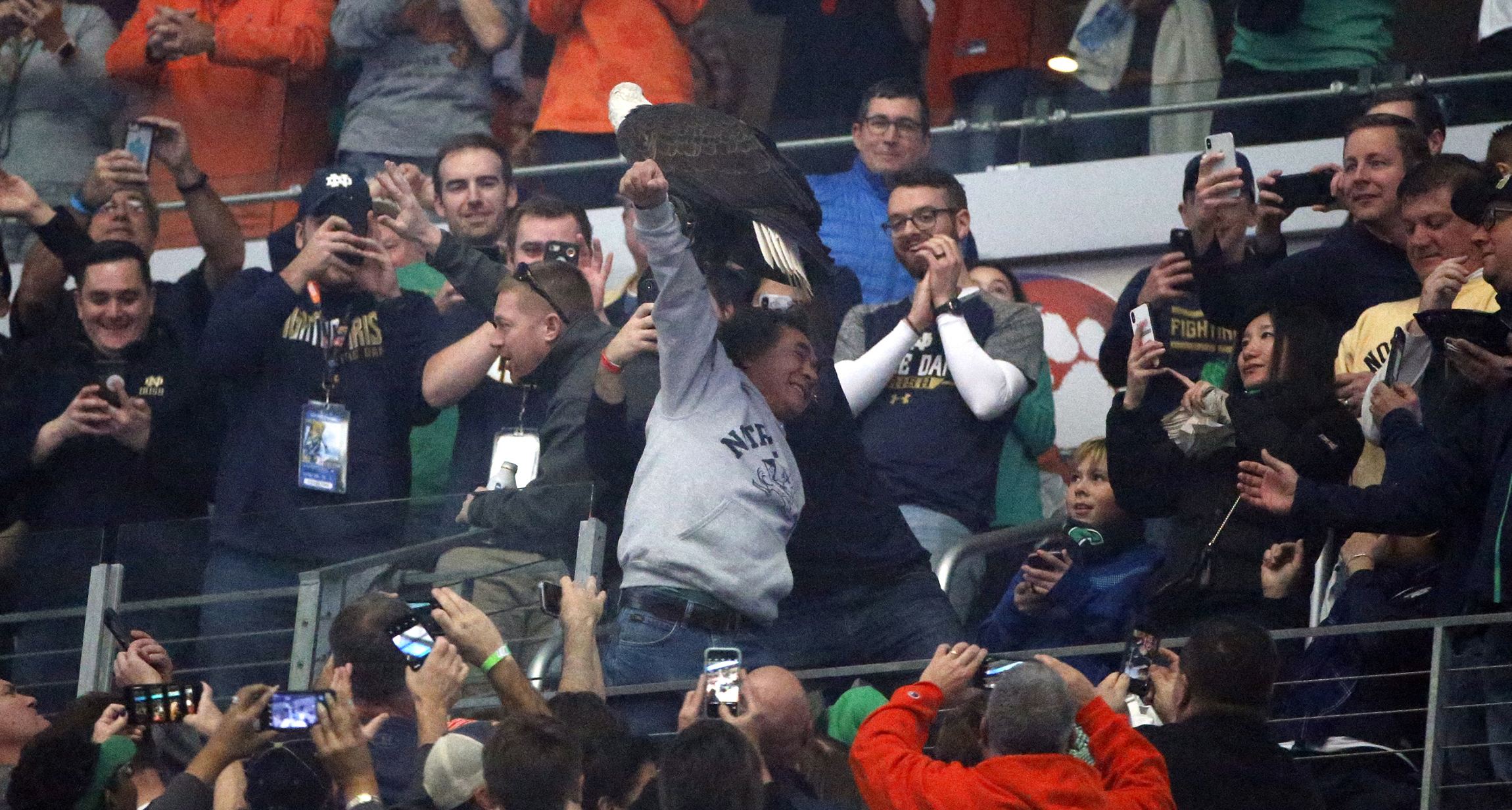 Bald eagle attacks government drone and sends it crashing into Lake Michigan