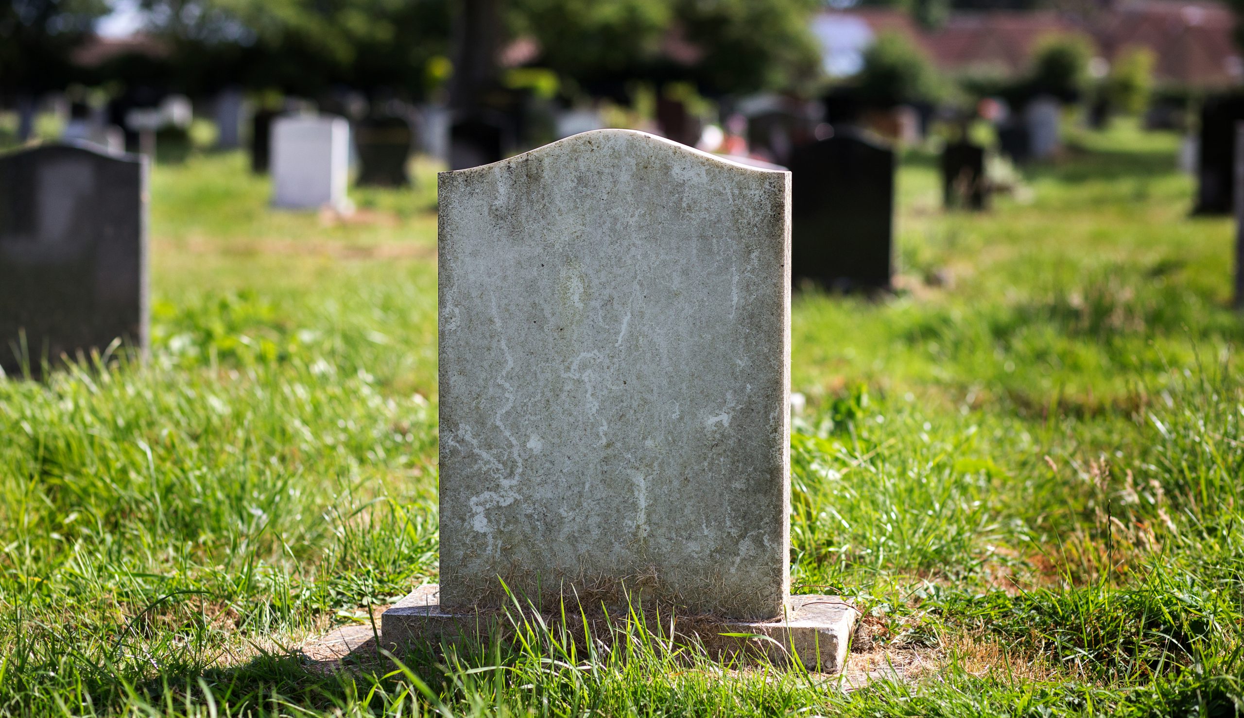 To combat nonexistent ‘voter suppression,’ Kamala Harris would raise the dead