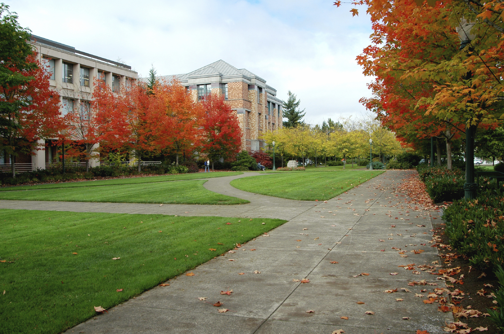 Newspaper editorial: New campus sexual assault bill ‘turns the Bill of Rights upside down’