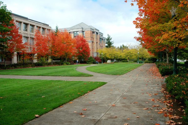 Newspaper editorial: New campus sexual assault bill ‘turns the Bill of Rights upside down’