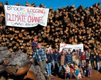 Ecocide: a Crime Against Peace?