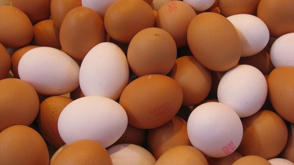 Egg prices fall as consumers see ‘fully stocked shelves’ again