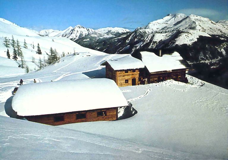Prufrock: Books in an Era of Trump, the Attraction of Snow, and How the British Empire Influenced Wine-Making