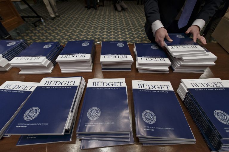 Copies of President Obama's proposed fiscal 2015 budget set out for distribution on Capitol Hill in March. (AP/J. Scott Applewhite)