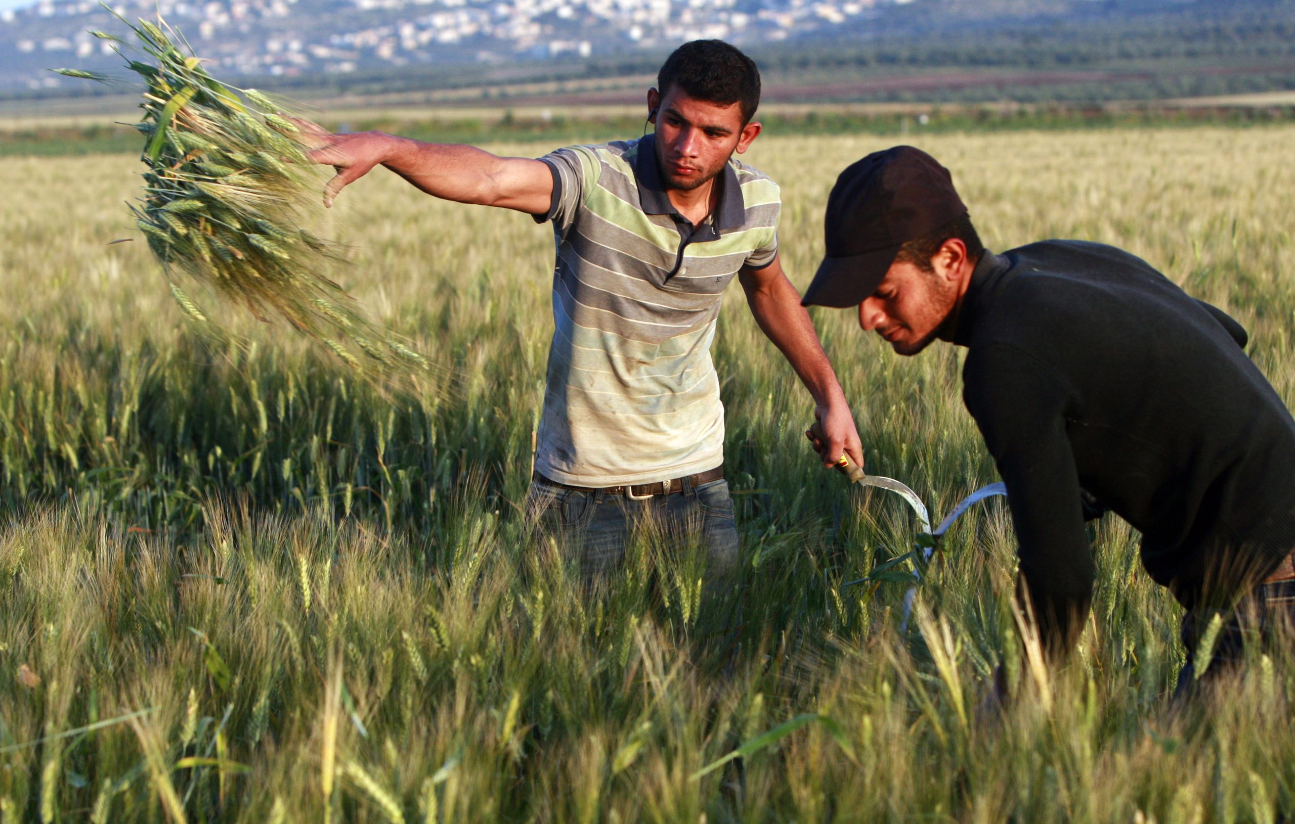 World Bank: Palestinian economy to shrink in 2014