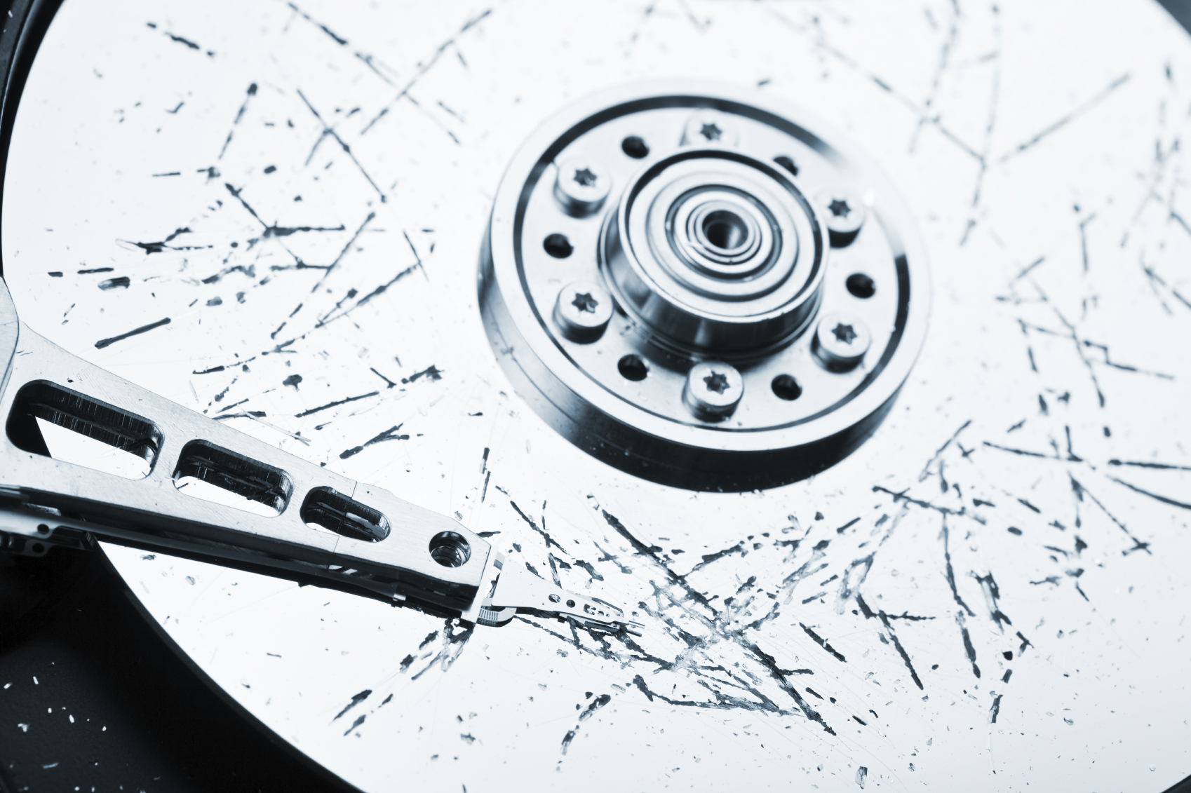 Why did the government wait until now to disclose doomsday email backup?