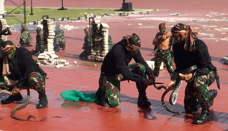Indonesian special forces demonstrate snake-handling for U.S. Defense Secretary Jim Mattis in Jakarta, Indonesia. (AP Photo/Robert Burns)