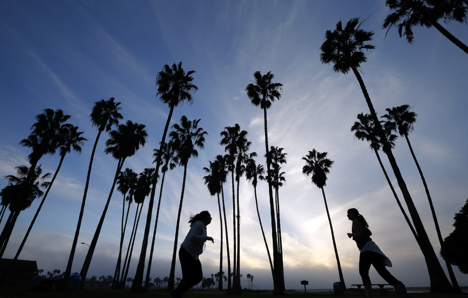 Healthcare system not to blame for dip in life expectancy