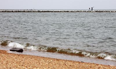 It was a good year for the Chesapeake Bay