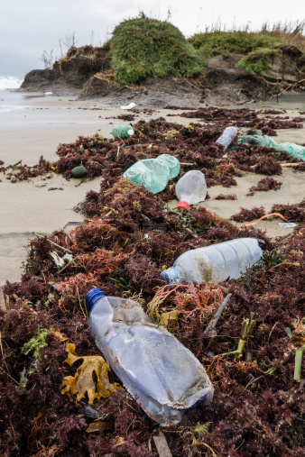 Meghan Cox Gurdon: Dealing with debris no day at the beach