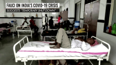 Fauci suggests India ‘shut down temporarily’ as coronavirus cases skyrocket