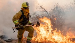 California will keep burning until we accept higher prices for electricity
