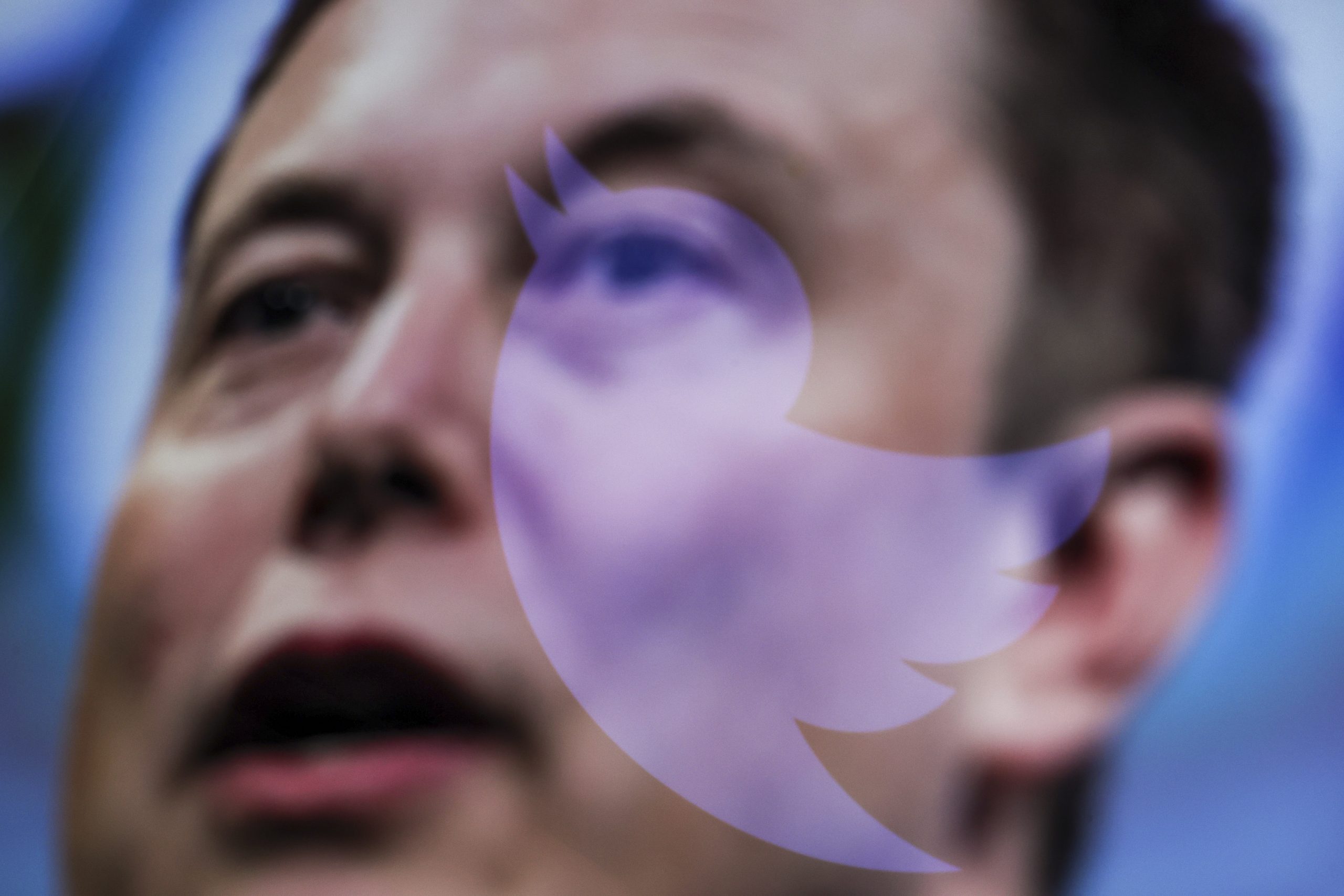 Elon Musk and Twitter