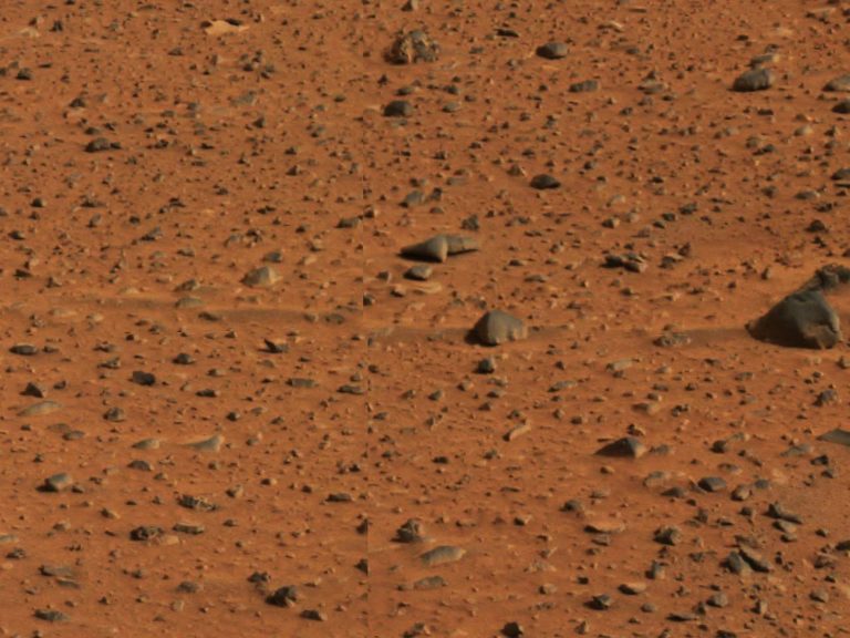 Fact Check: Is NASA ‘Preparing This [Teenage] Girl To Become The First Human On Mars’?