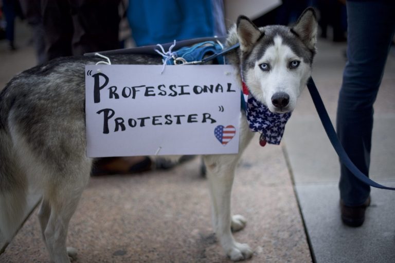 Afternoon Links: Woke Dogs, Ask Mike Warren Anything, and Dorms for Congress?