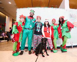 Houdini (center-bottom) is pictured next to some people in holiday-themed outfits at Detroit Metropolitan Airport.