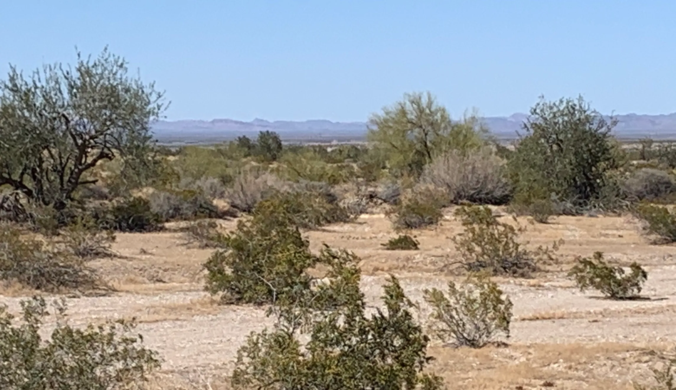 IMG_3059-Gila-Bend-Arizona-desert-border.jpg