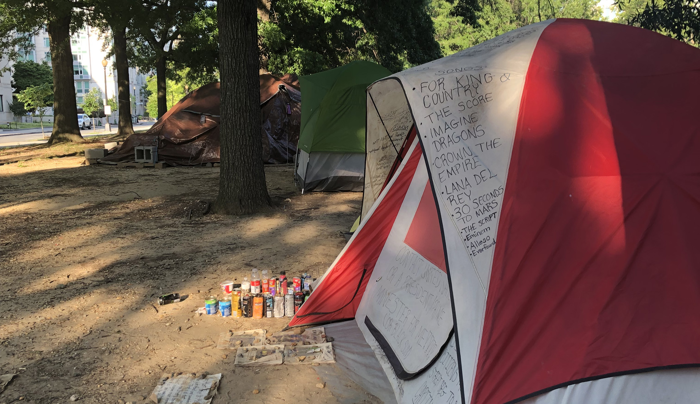 Several tents are camped next to trees in Washington.