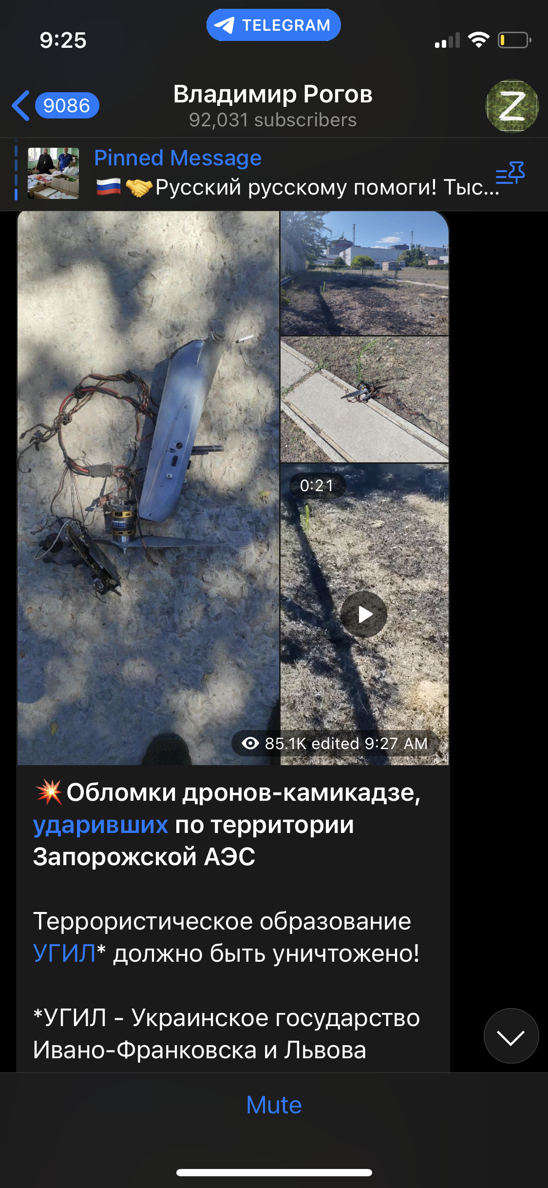 Vladimir Rogov Kamikaze Drone