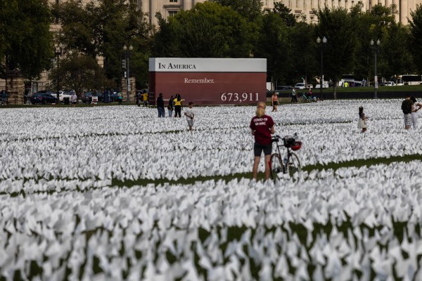 Personalized white flags commemorating coronavirus pandemic victims adorn National Mall