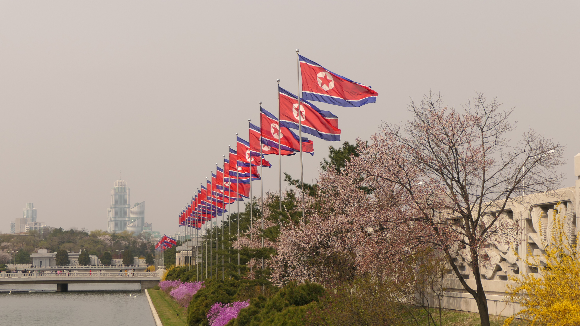 North Korean flags are seen on flagpoles in Pyongyang, North Korea.