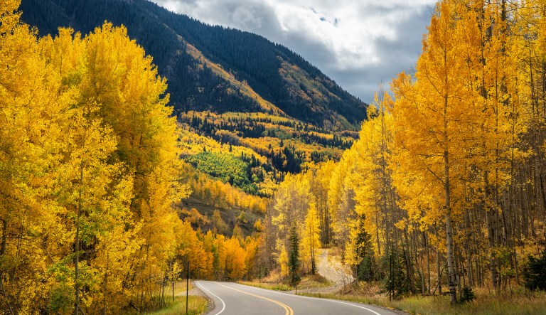 City of Aspen under state of emergency after natural gas outages caused by vandalism