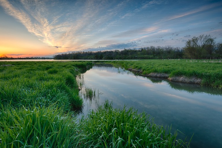 Two large manure spills in Iowa killing fish