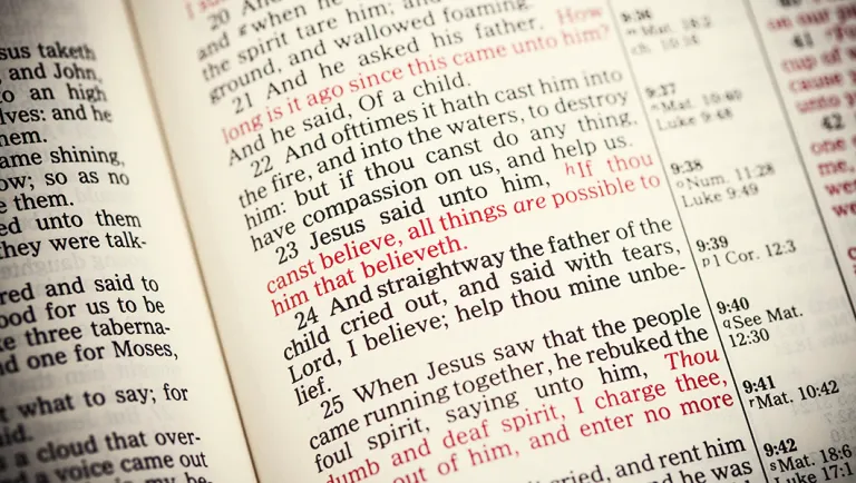 Text of the Bible.