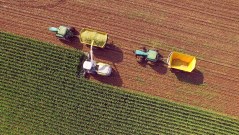 Waive goodbye to ethanol